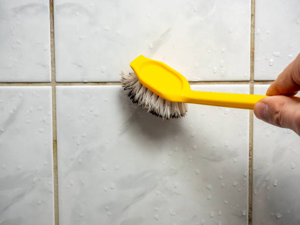 Best Commercial Mold Removal  in Malvern, IA