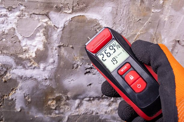 Best Water Damage Restoration  in Malvern, IA
