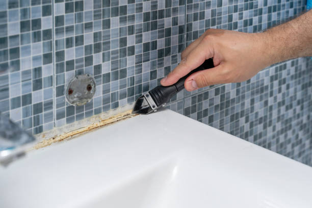 Best Toxic Mold Removal  in Malvern, IA